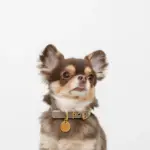 バイカラーサークルチャームレザーカラー【名入れ彫刻対応】