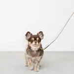 バイカラーサークルチャームレザーカラー【名入れ彫刻対応】