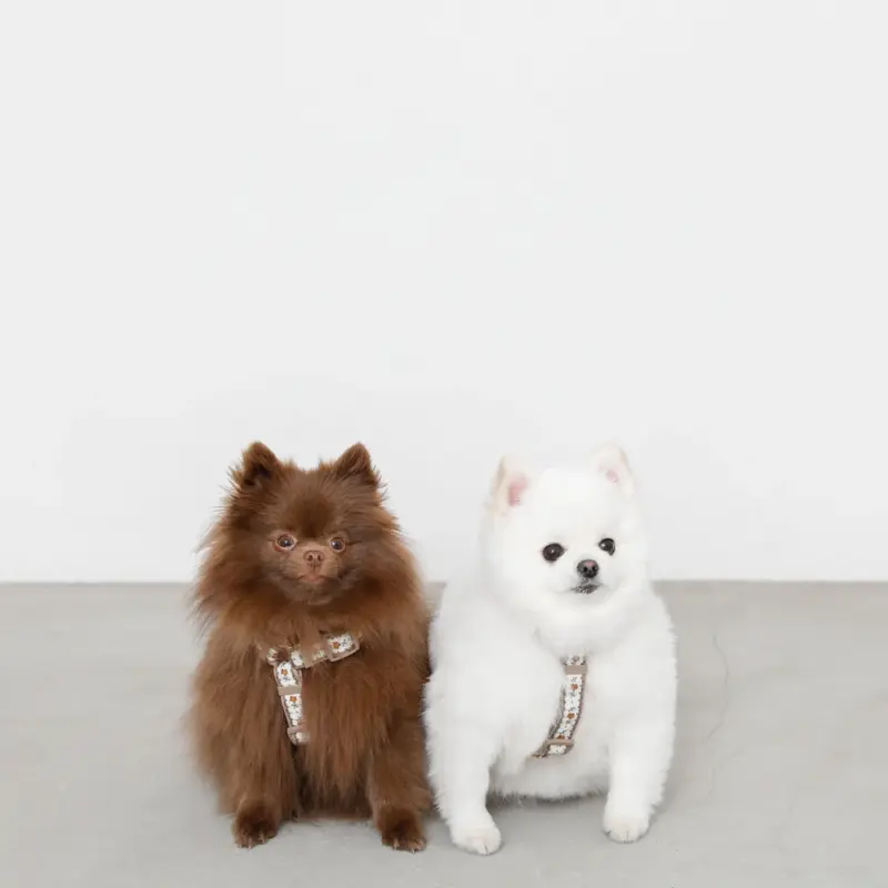 フラワーテープハーネス