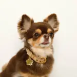 なみなみフラワーチャームレザーカラー【名入れ彫刻対応】