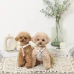 PUレザーテープハーネス+リードSET