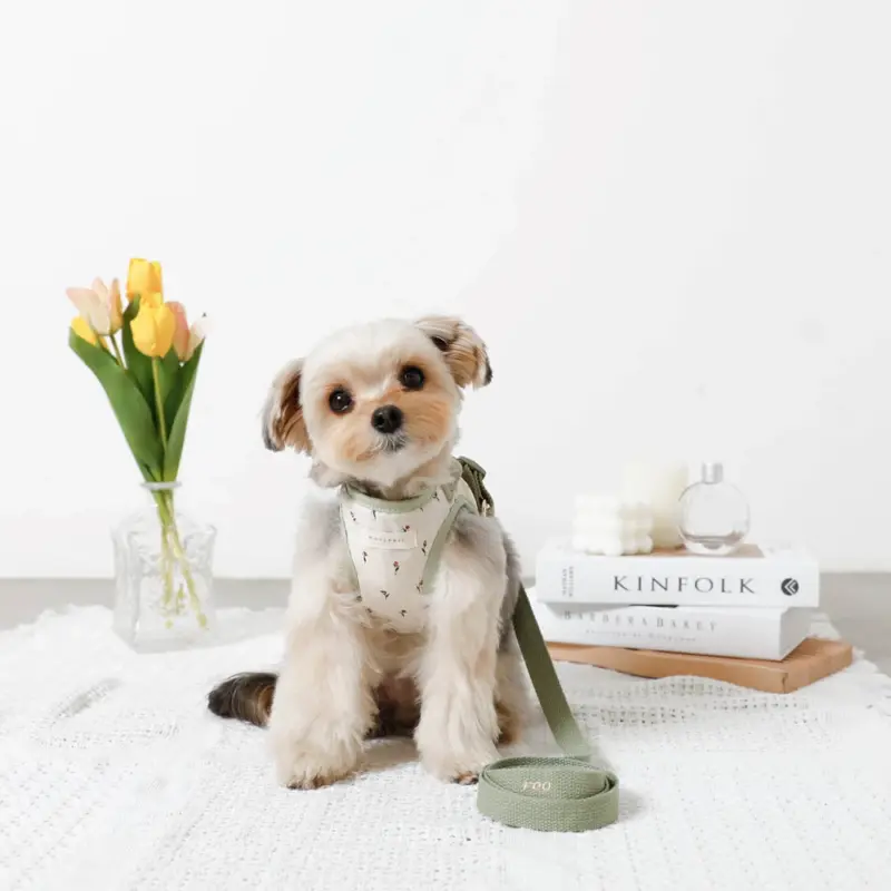 チューリップ柄ハーネス+リードSET【名入れ刺繍対応】