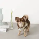 チューリップ柄ハーネス+リードSET【名入れ刺繍対応】