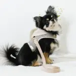 フード付きボーダーハーネス+リードSET【名入れ刺繍対応】