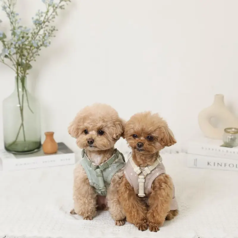 反射ほし柄ハーネス