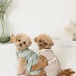 反射ほし柄ハーネス