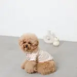 反射ほし柄ハーネス