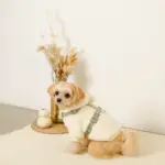 反射ほし柄ハーネス