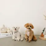 反射ほし柄バックルカラー【名入れ彫刻対応】