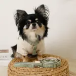 2way反射ほし柄リード