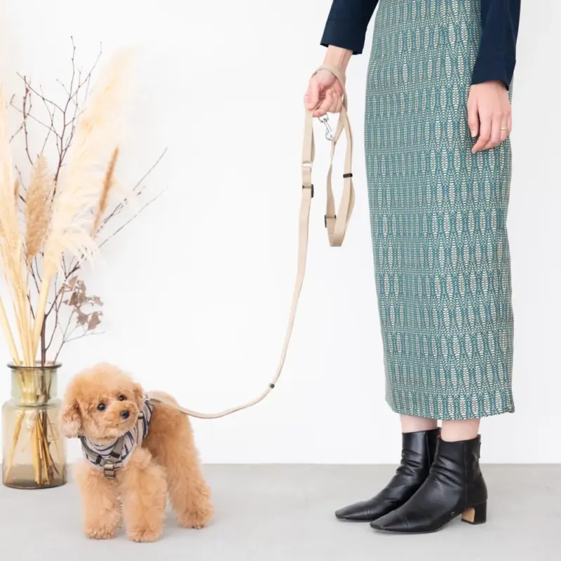 シンプルベーシックカラーリード