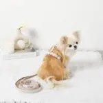 ギンガムチェックハーネス+リードSET【名入れ刺繍対応】