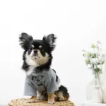 ギンガムチェックハーネス+リードSET【名入れ刺繍対応】