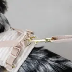 ボーダー冷感ハーネス＋リードSET【名入れ刺繍対応】