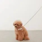 チェックカラー＋リードSET【名入れ彫刻対応】