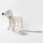 チェックカラー＋リードSET【名入れ彫刻対応】