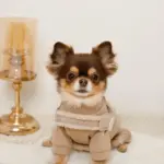 ボアコンビハーネス＋リードSET【名入れ刺繍対応】