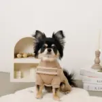 ボアコンビハーネス＋リードSET【名入れ刺繍対応】