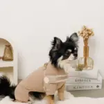 ボアコンビハーネス＋リードSET【名入れ刺繍対応】