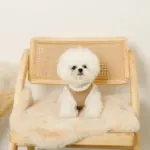 エコレザーボアMIXハーネス+リードSET【名入れ刺繍対応】