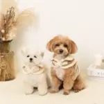 ムートン風ハーネス+リードSET【名入れ刺繍対応】