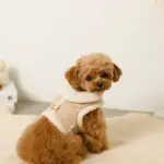 ムートン風ハーネス+リードSET【名入れ刺繍対応】