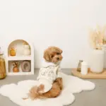 スカラップカラー花柄キルティングハーネス+リードSET【名入れ刺繍対応】