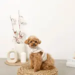 ボアウールハーネス