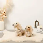 ボアウールハーネス