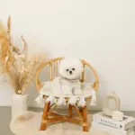 ボアウールハーネス