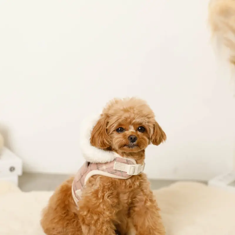 ファーフード付チェックハーネス+リードSET【名入れ刺繍対応】