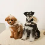 ファーフード付チェックハーネス+リードSET【名入れ刺繍対応】