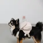 ニュアンスカラーリュックハーネス【名入れ刺繍対応】