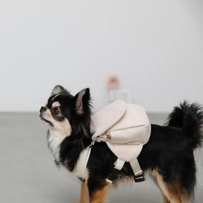 ニュアンスカラーリュックハーネス【名入れ刺繍対応】