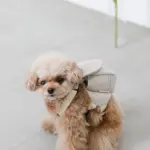 ニュアンスカラーリュックハーネス【名入れ刺繍対応】