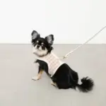 チェック×ファーハーネス