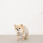 マクラメエコレザーリード