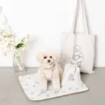 tomboniaコラボハーネス+リードSET【名入れ刺繍対応】