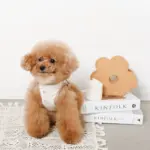 tomboniaコラボハーネス+リードSET【名入れ刺繍対応】