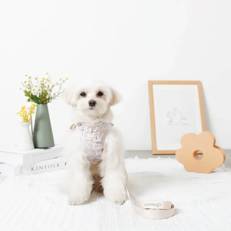 ぽこぽこハーネス+リードSET【名入れ刺繍対応】