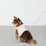 刺繍レースハーネス＋リードSET【名入れ刺繍対応】