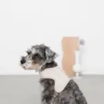 ギンガムチェックハーネス