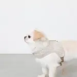 ギンガムチェックハーネス