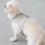 ギンガムチェックハーネス