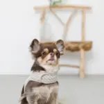 ギンガムチェックハーネス