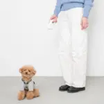 LEDライトリード 3m