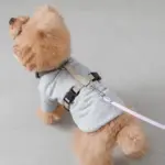 LEDライトリード 3m