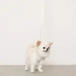 ぽこぽこチェックハーネス＋リードSET【名入れ刺繍対応】