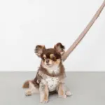 ギンガムチェックチェリーハーネス