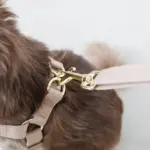 ギンガムチェックチェリーハーネス